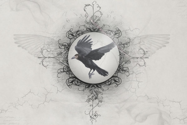 Vidéo "Claquement d'Aile"